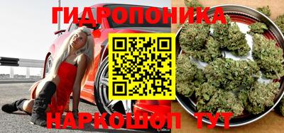 a pvp Краснодар