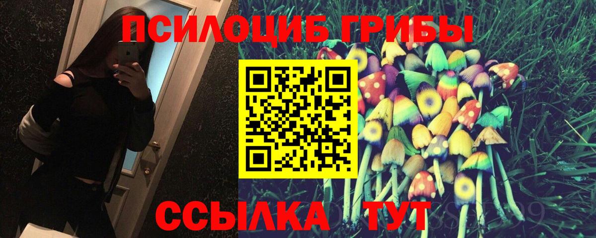 Кимры  Псилоцибиновые грибы Psilocybe  Вход с VPN  Галлюциногенные грибы мицелий 